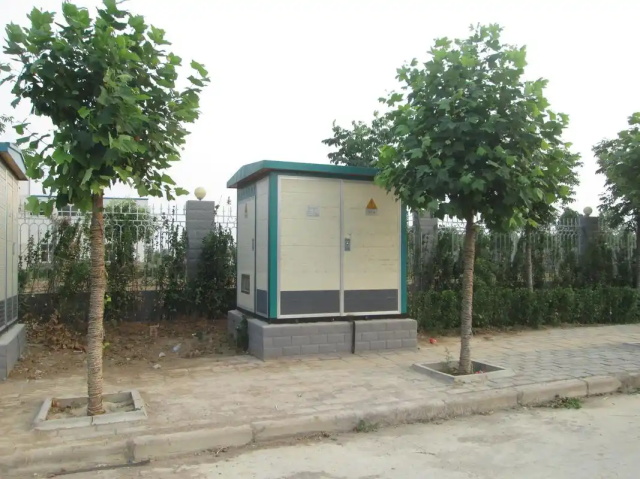 隆安1000KVA欧式箱式变压器